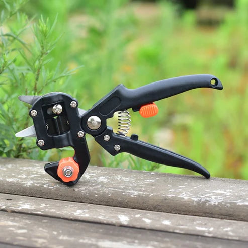 Outil de greffage pour plantes et arbres