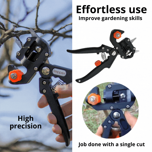 Outil de greffage pour plantes et arbres