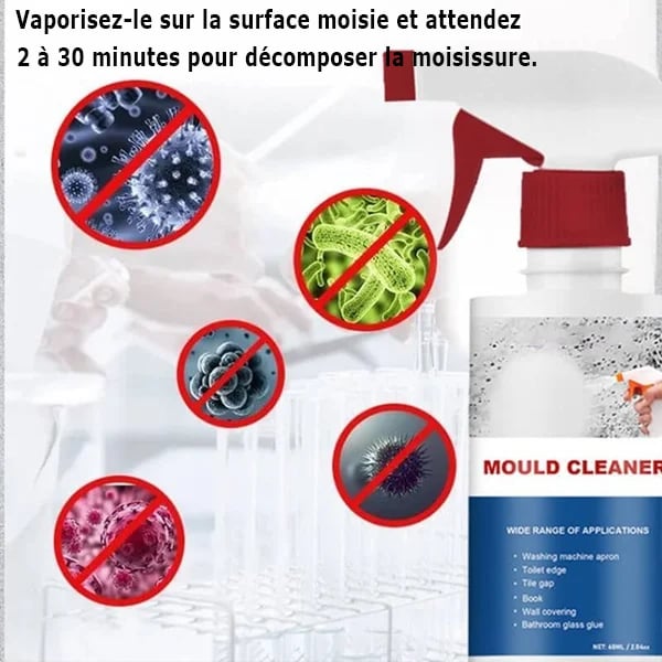 NETTOYANT ANTI-MOISISSURES
