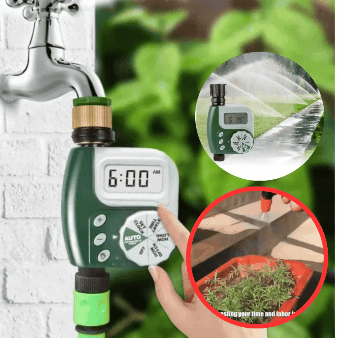 Minuterie d'eau automatique