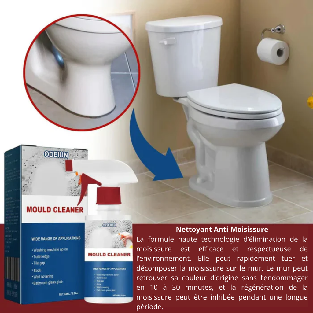 NETTOYANT ANTI-MOISISSURES