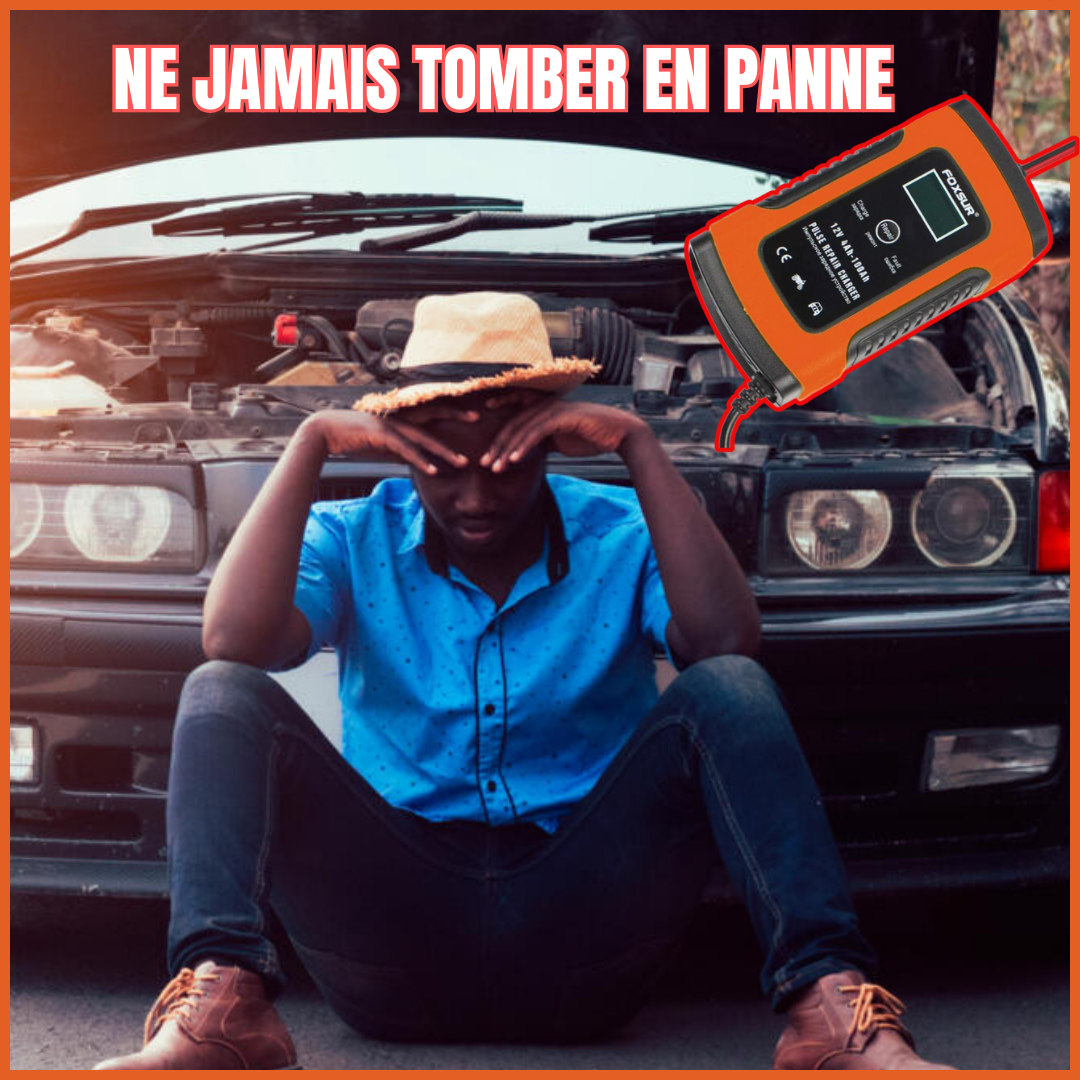 Chargeur de batterie de voiture 12V/24V