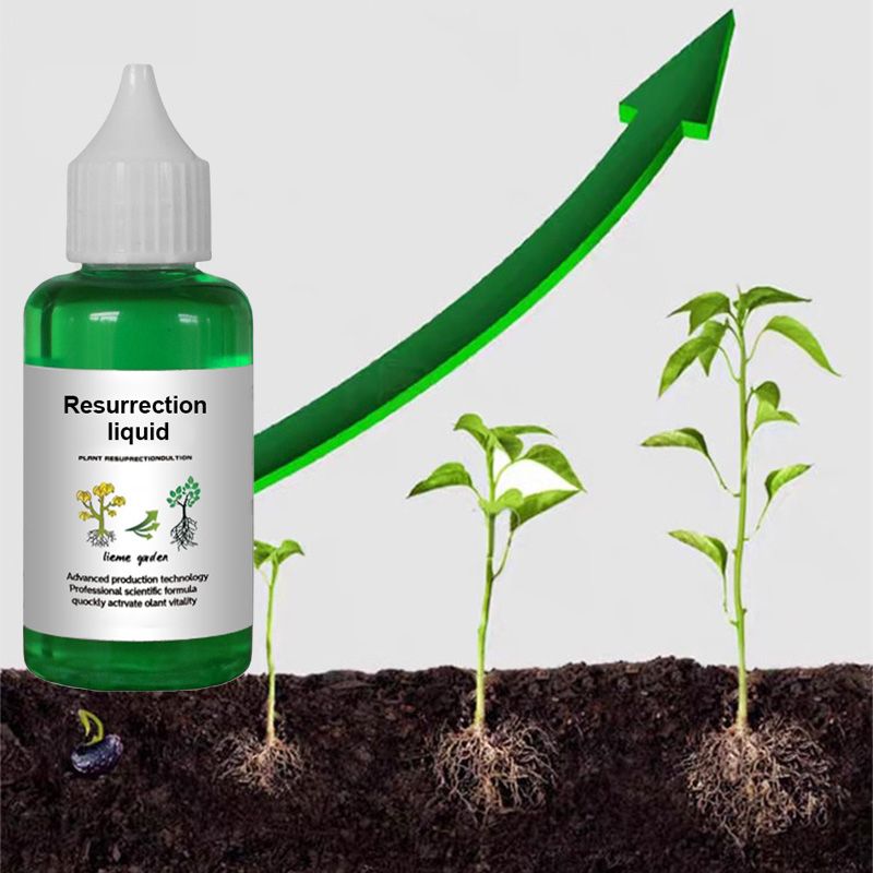 supplément stimulateur de croissance pour plantes