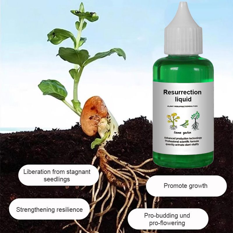 supplément stimulateur de croissance pour plantes