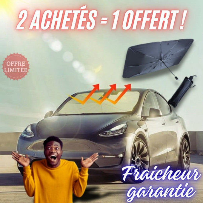 Pare-soleil voiture pliable