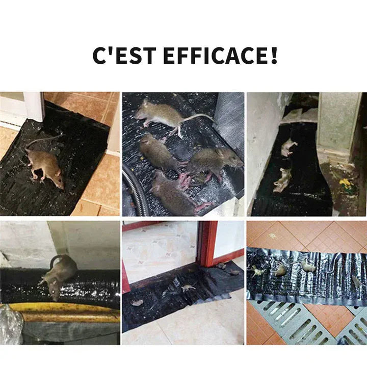 Tapis piège de souris ultra collant (3 tapis)